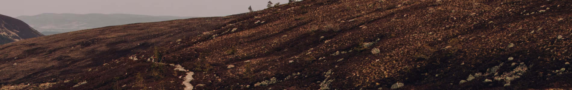 plpBackgroundgImg
